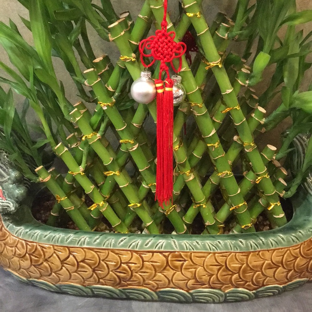 Meet your Posher, Xiumin